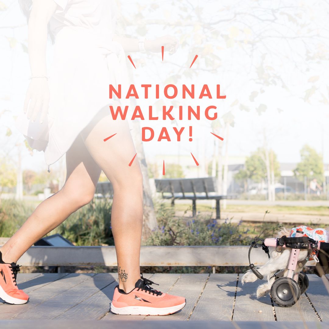 National Walking Day 2021